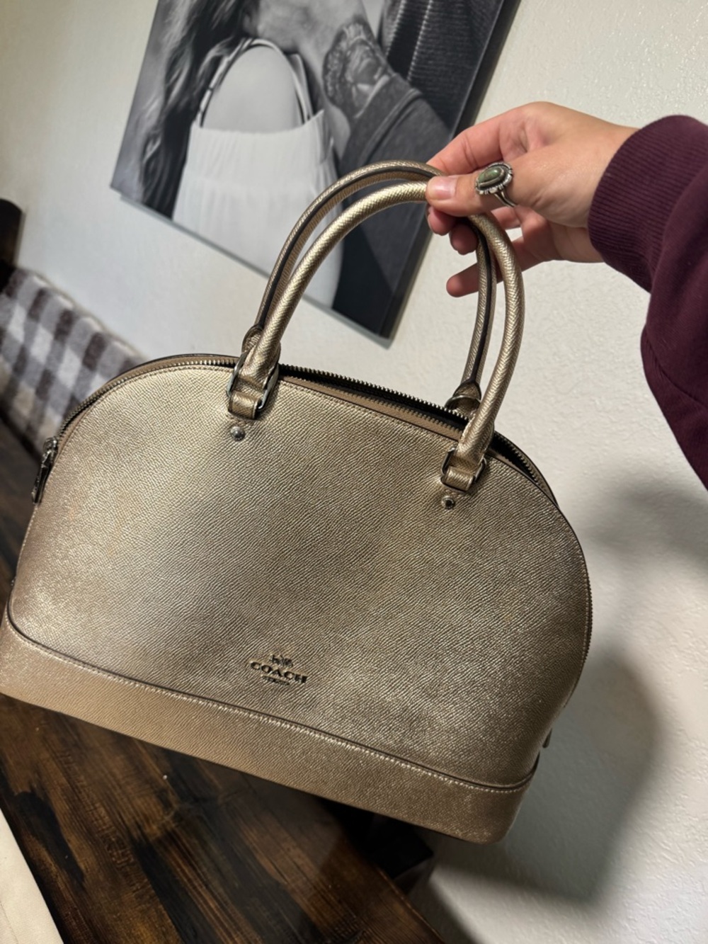 Coach Sierra Signature Dome Satchel